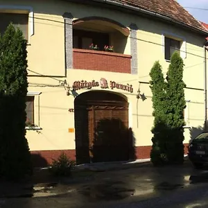Matyas Panzio Nocleg ze śniadaniem Segedyn